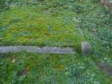 image of grave number 460765